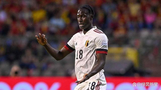 熊猫体育全站APP下载-比利时队大胜，实力证明无疑
