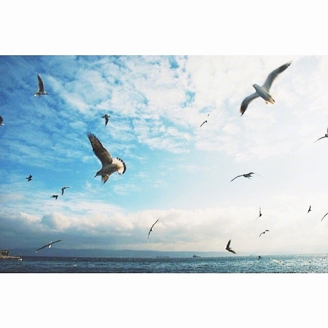 熊猫体育下载-胜负难料：两强相遇，输赢难以预测的比拼即将上演